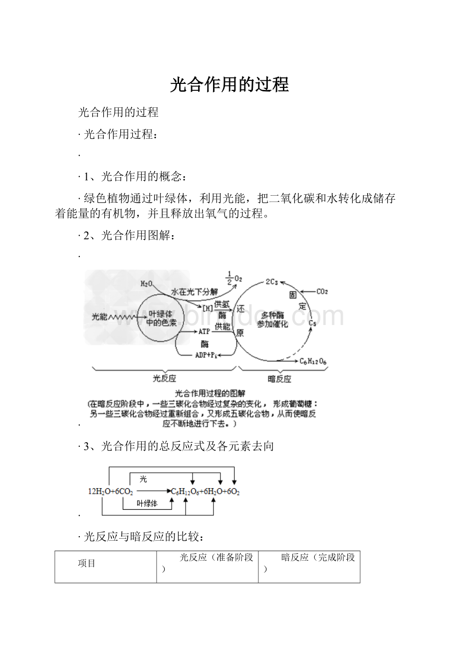 光合作用的过程.docx