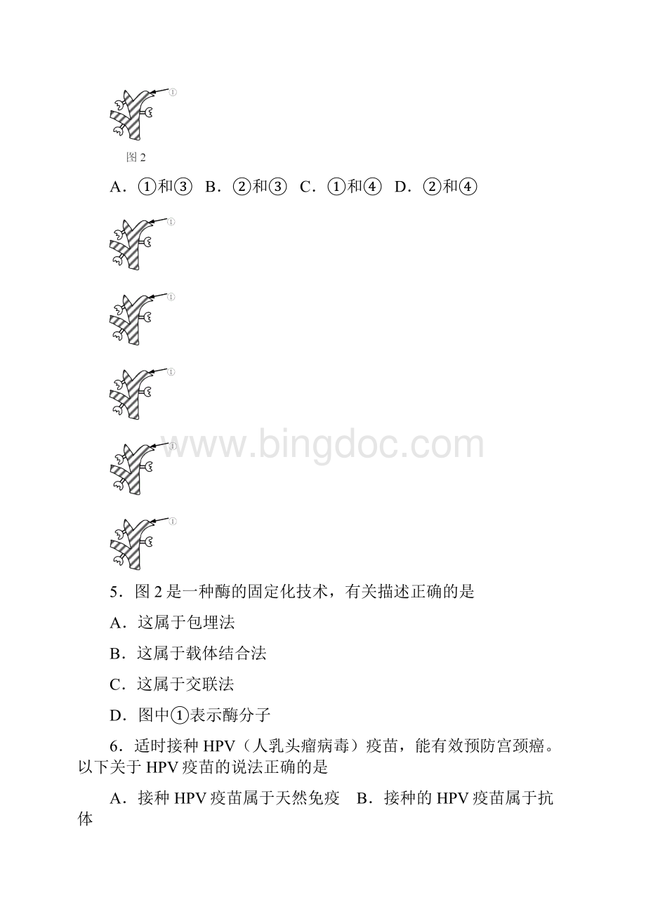 上海市黄浦区届高三下学期高中学业等级考调研测试二模生物试题 含答案.docx_第2页