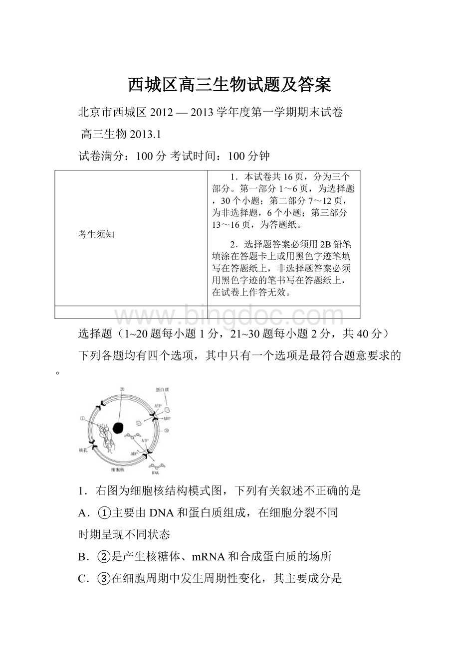 西城区高三生物试题及答案.docx_第1页