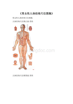 《男女性人体经络穴位图集》.docx