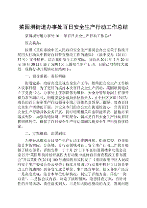 菜园坝街道办事处百日安全生产行动工作总结.docx