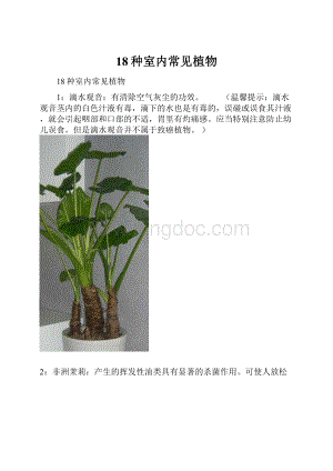 18种室内常见植物.docx