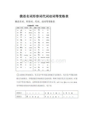 俄语名词形容词代词动词等变格表.docx