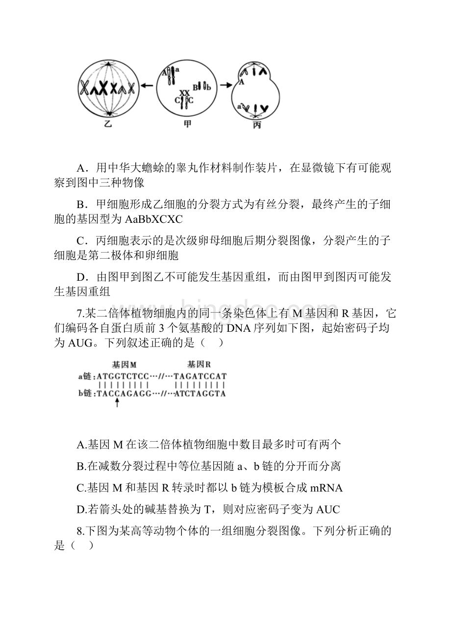 新课标湖南省高三生物总复习 寒假作业8.docx_第3页