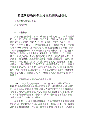 龙源学校教师专业发展反思改进计划.docx