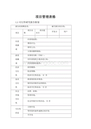 项目管理表格.docx