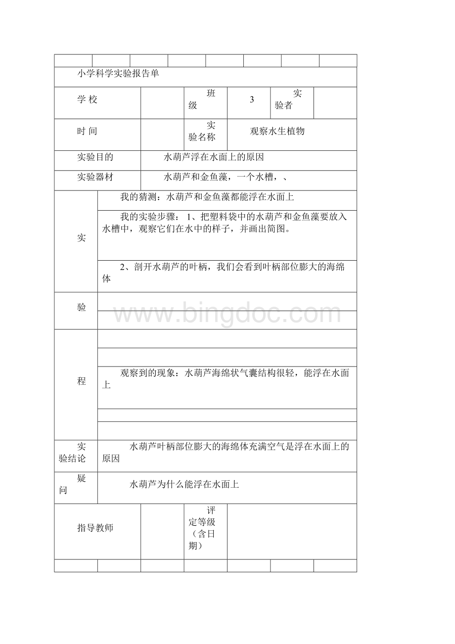 教科版三年级上册科学实验报告单1.docx_第3页