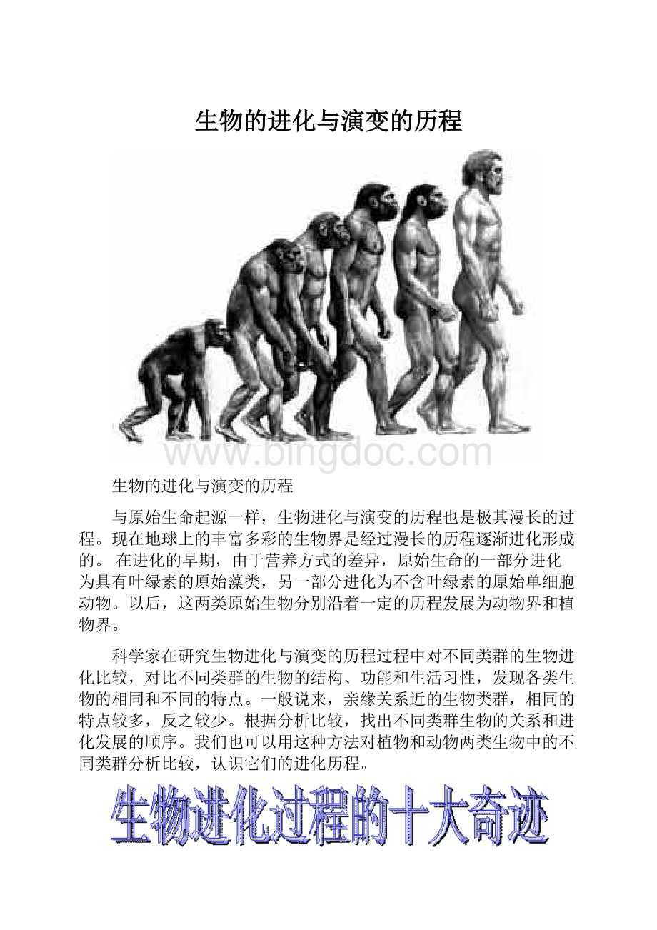 生物的进化与演变的历程.docx