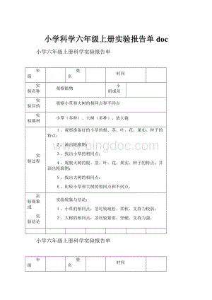 小学科学六年级上册实验报告单doc.docx