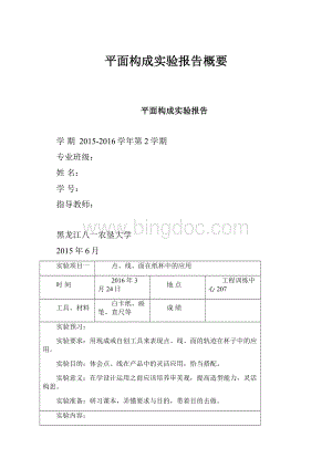 平面构成实验报告概要.docx