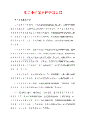 实习小组鉴定评语怎么写（共4页）2400字.docx