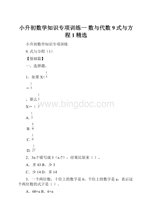 小升初数学知识专项训练一 数与代数9式与方程1精选.docx