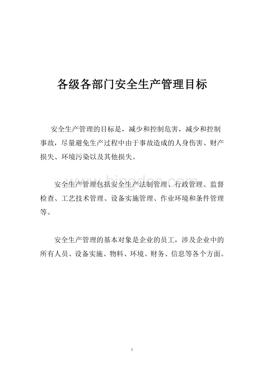 项安全生产责任制度大全文档格式.doc