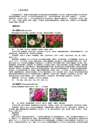 园林植物应用之花卉篇----一二年生花卉Word格式文档下载.doc