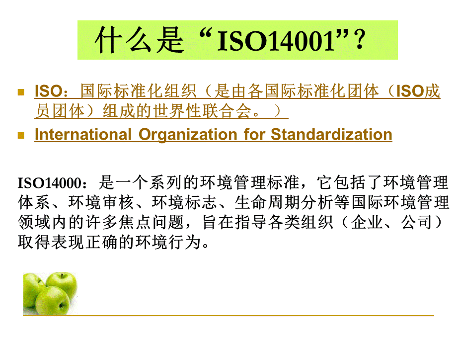 ISO14001基础知识培训教材.ppt_第3页