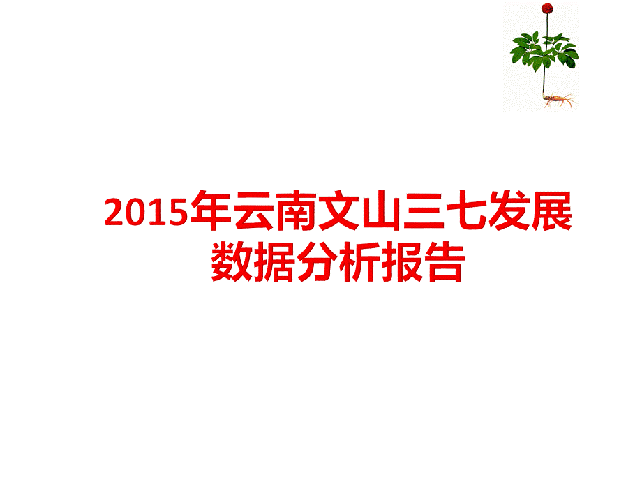 云南文山三七发展数据分析报告PPT文档格式.ppt_第1页