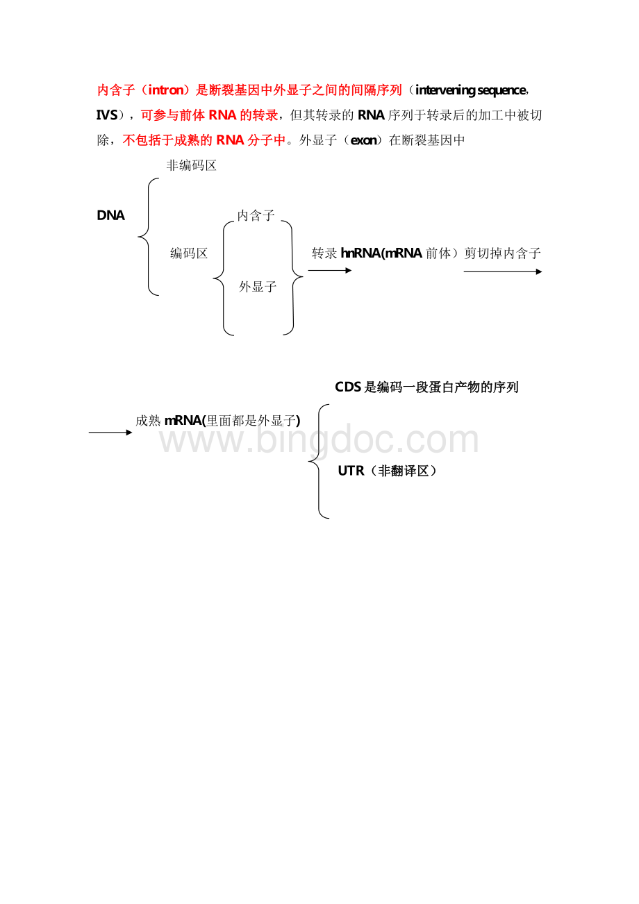 外显子内含子mRNACDSORF区别详解资料下载.pdf_第3页