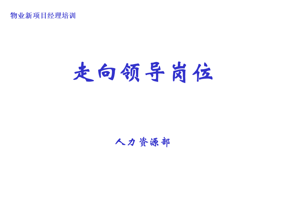 新项目经理培训--走向领导岗位.ppt