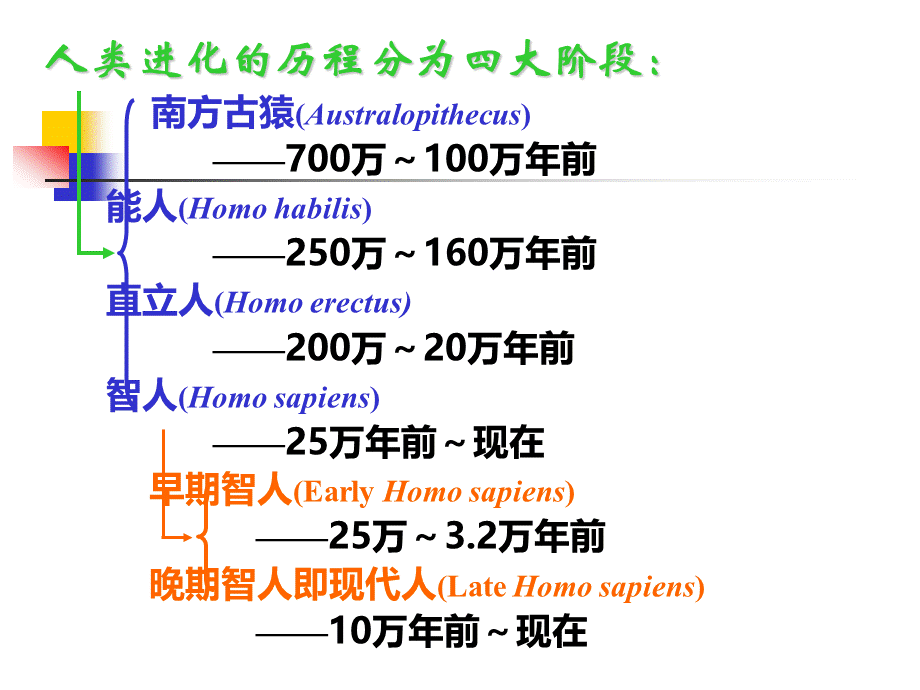 人类的起源和进化.ppt_第2页