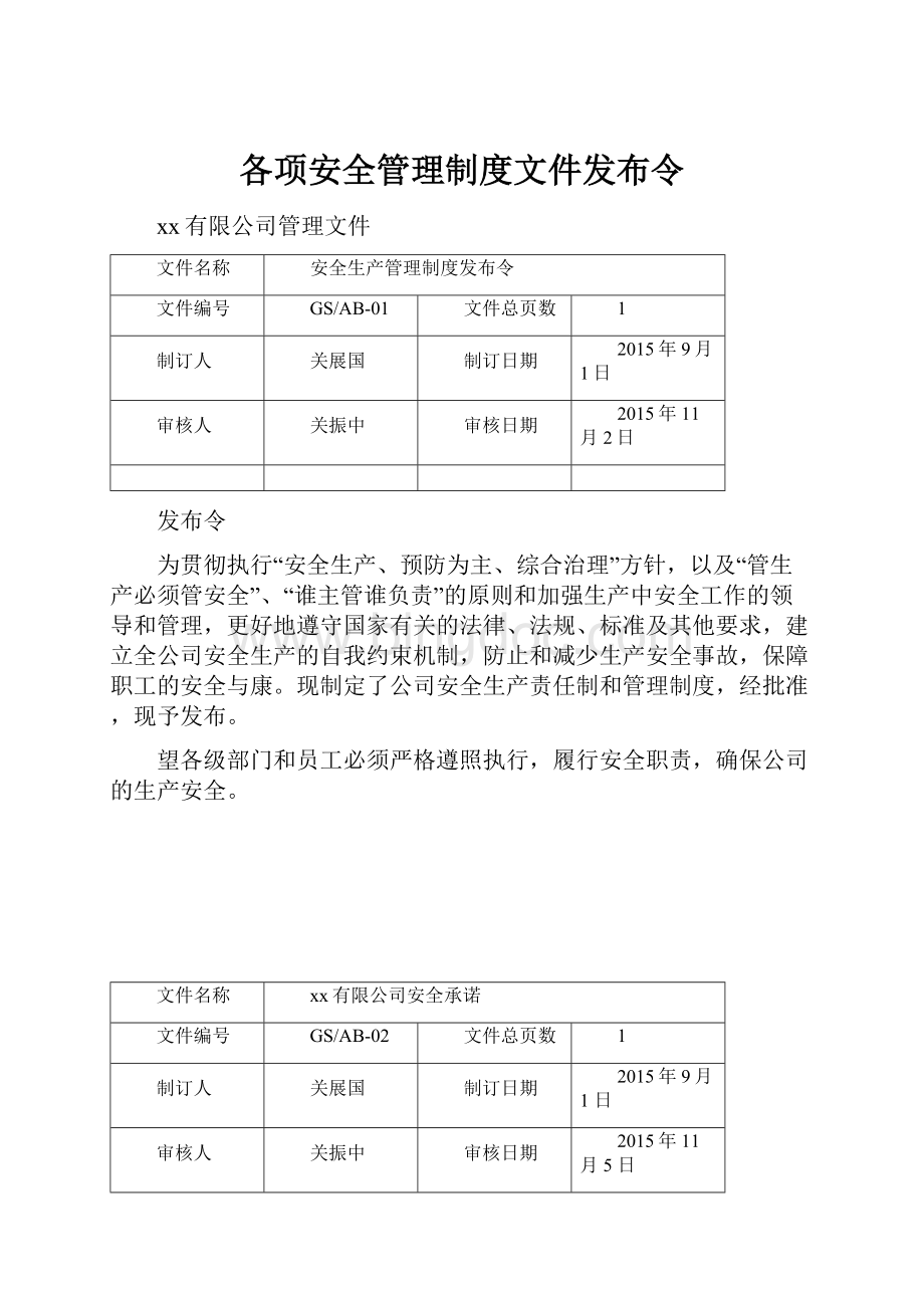 各项安全管理制度文件发布令.docx