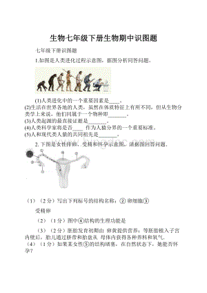 生物七年级下册生物期中识图题.docx