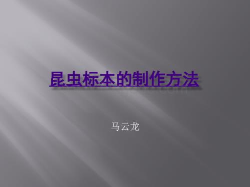 昆虫标本制作.ppt