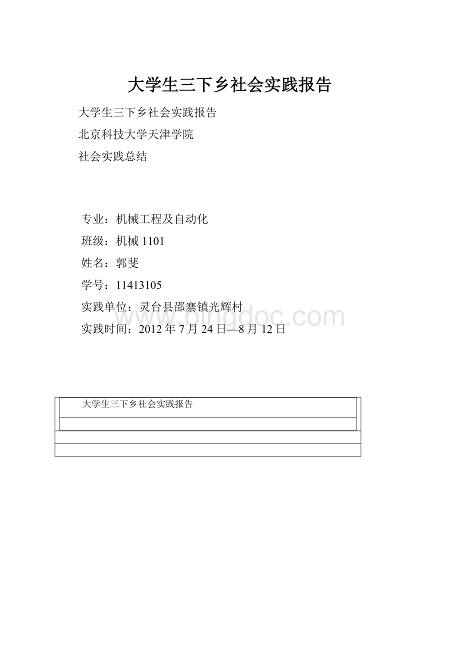 大学生三下乡社会实践报告Word文档下载推荐.docx