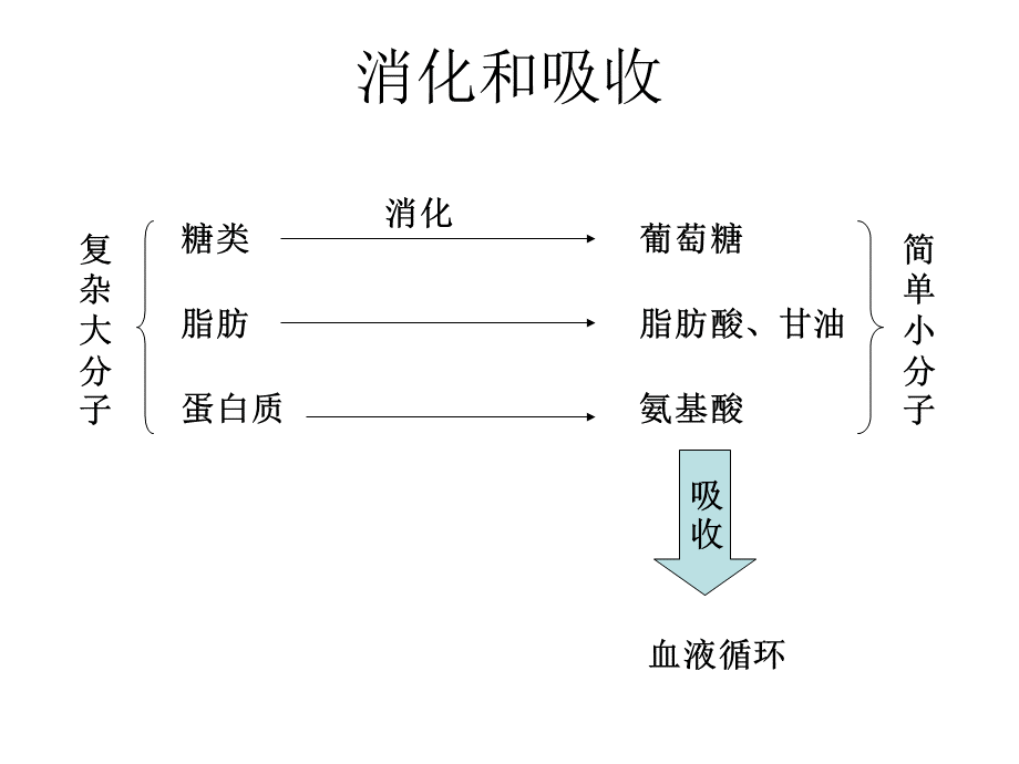 初中生物知识结构图.ppt_第3页