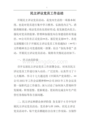 民主评议党员工作总结.docx