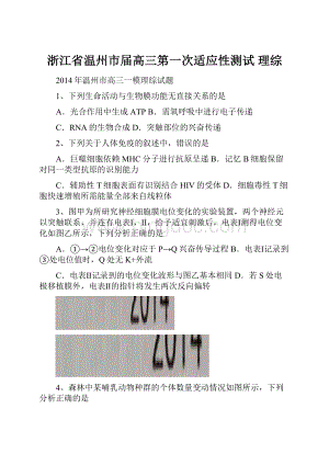 浙江省温州市届高三第一次适应性测试 理综.docx