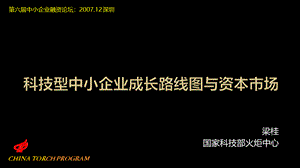 科技型中小企业成长路线图与资本市场PPT文件格式下载.ppt