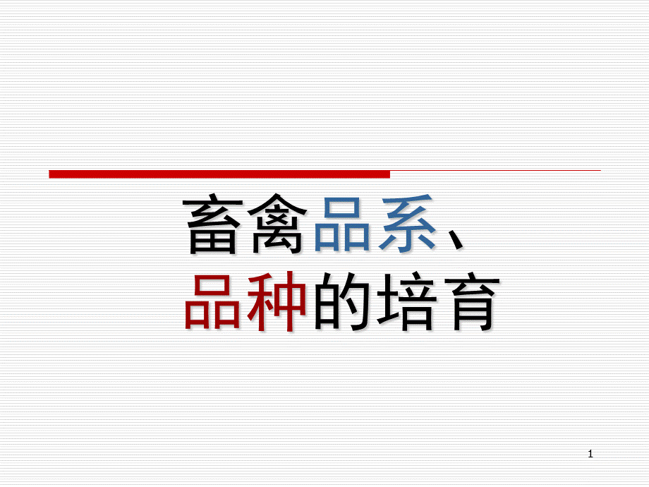 品系与品种的培育.ppt