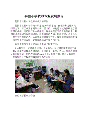 实验小学教师专业发展报告.docx