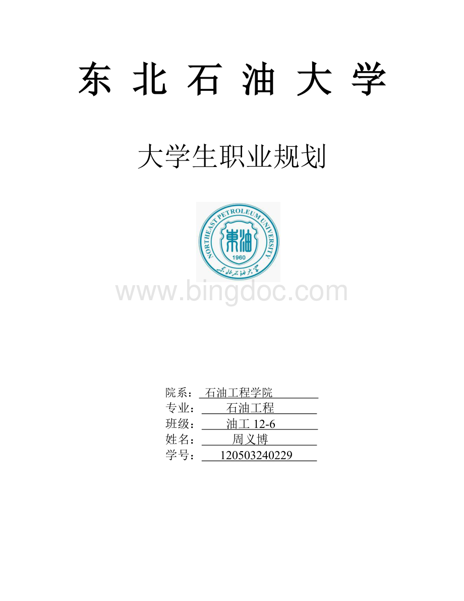 大学生职业生涯规划书(石油工程类)Word文件下载.doc