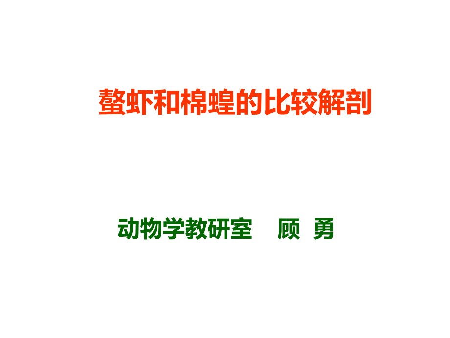 鳌虾和蝗虫的比较解剖.ppt