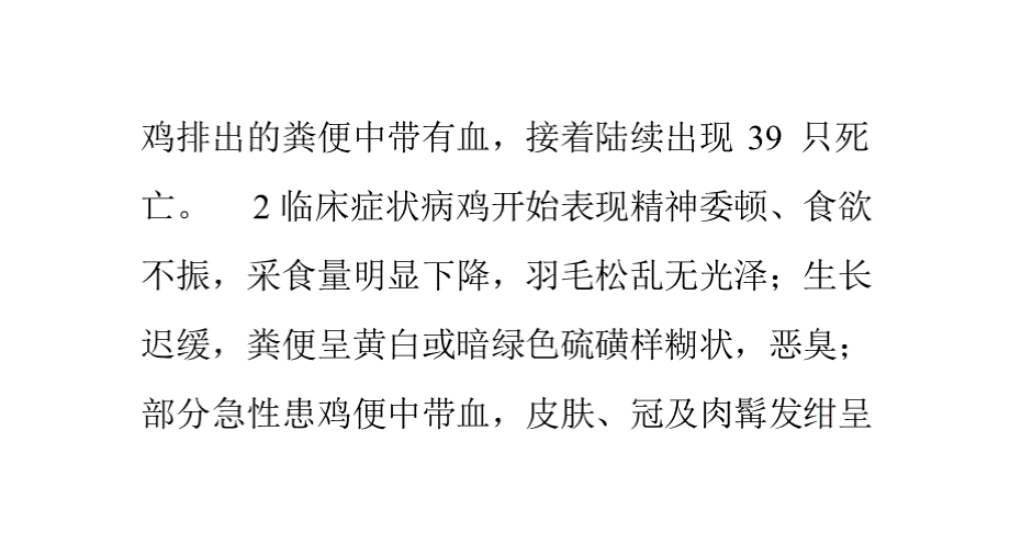 鸡组织滴虫病的诊治.pptx_第2页