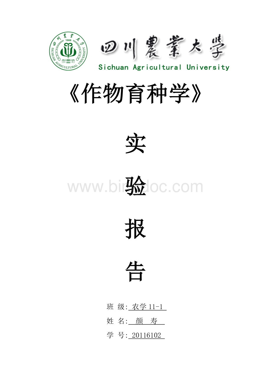 作物育种学油菜自交与杂交综合实验报告.docx_第1页