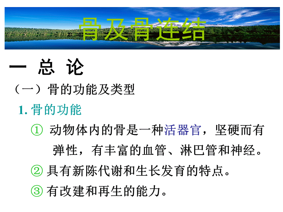 运动系统骨与骨连接优质PPT.ppt_第3页