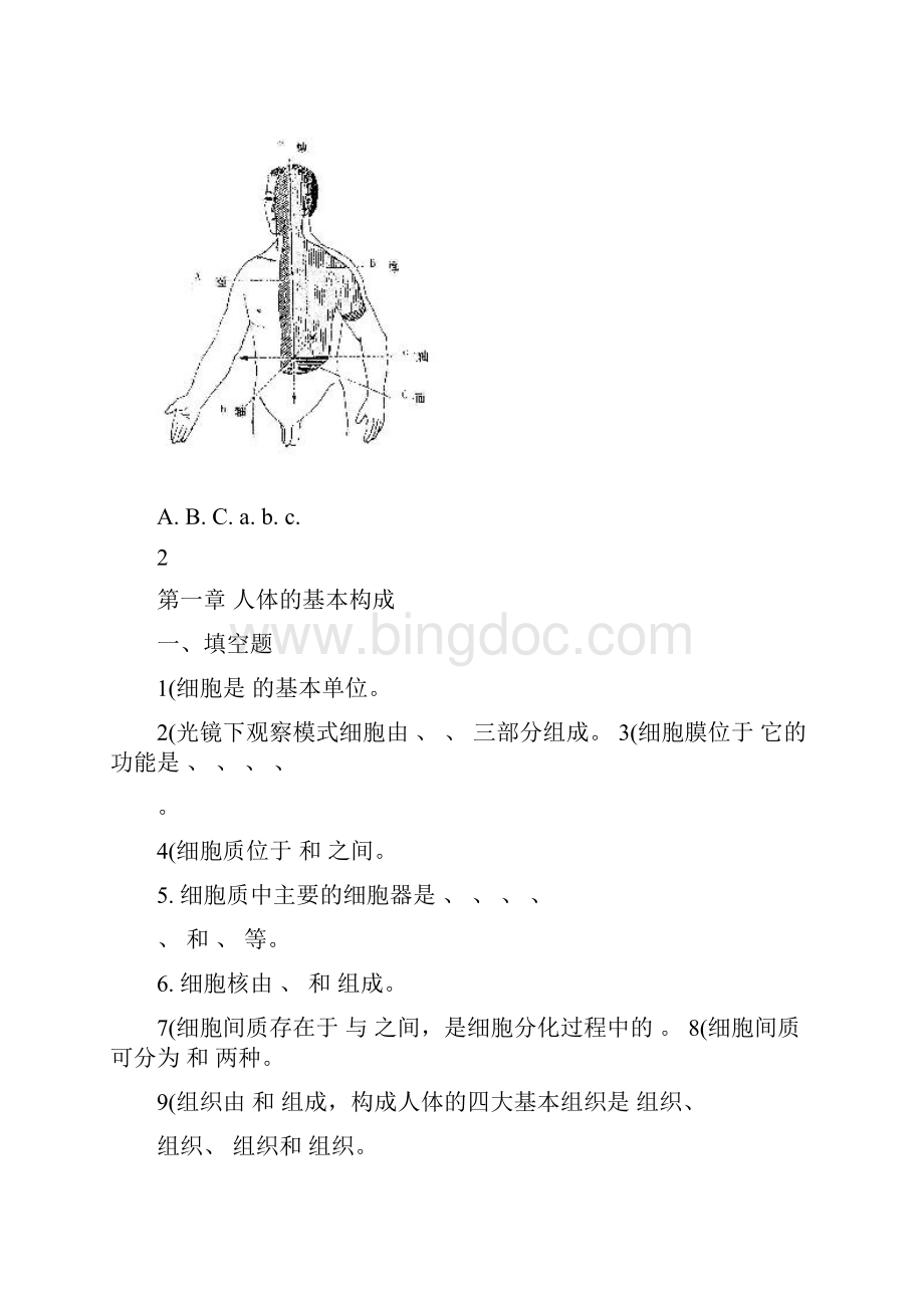 运动解剖学习题Word格式.docx_第3页