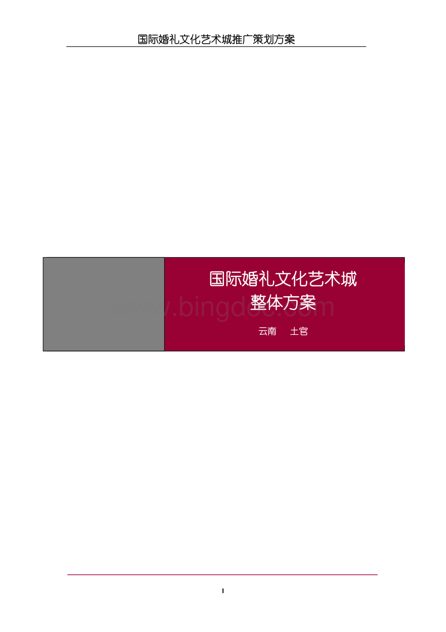 国际婚礼文化艺术城策划案Word文档格式.doc_第1页