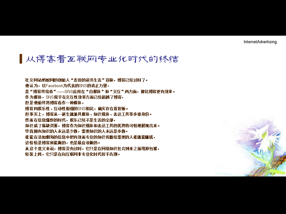 网络小说ppt.ppt_第3页