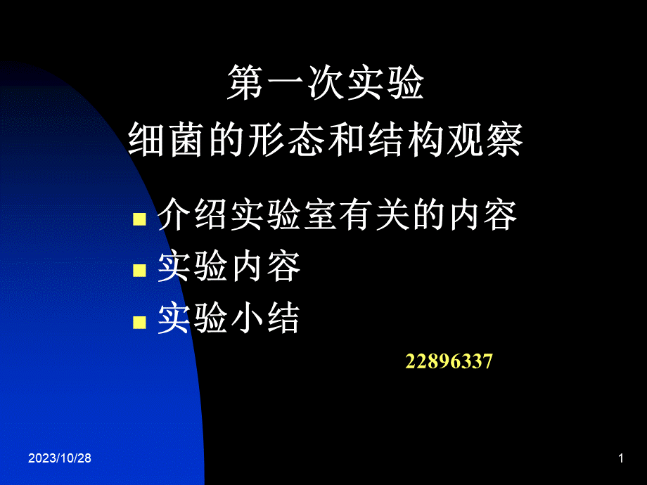 一细菌的形态与结构观察.ppt