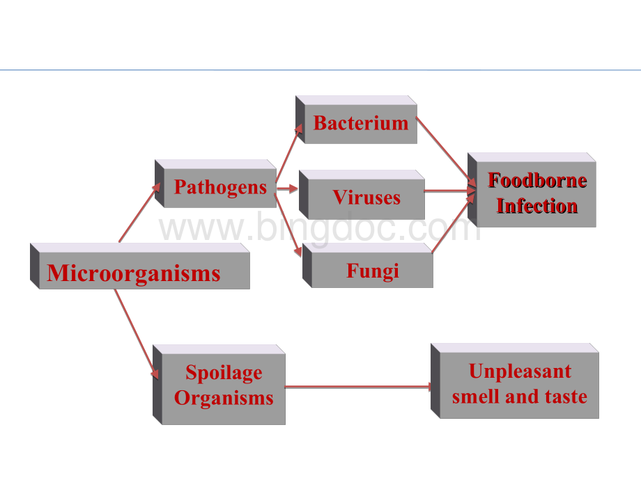 实验三动物性食品生物性污染的检验.ppt_第3页