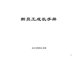 500强企业员工手册.ppt