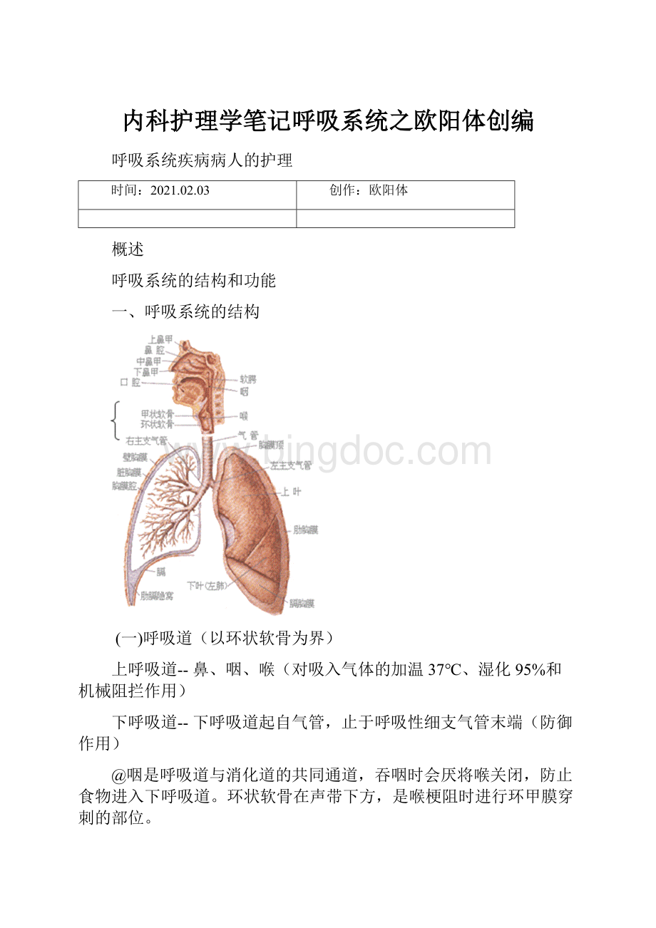 内科护理学笔记呼吸系统之欧阳体创编.docx_第1页