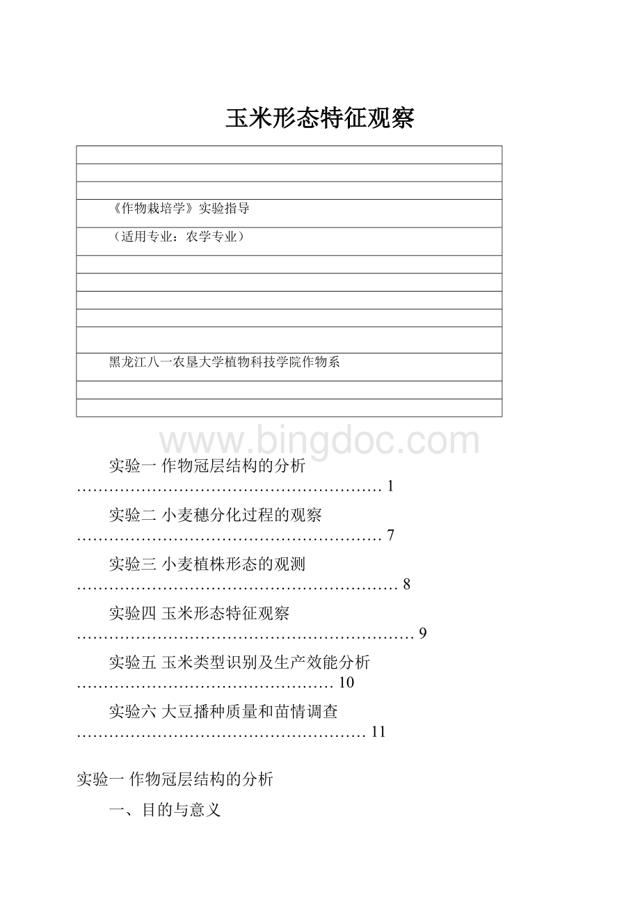 玉米形态特征观察.docx_第1页