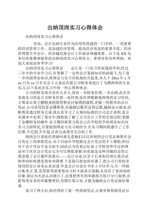 出纳顶岗实习心得体会.docx