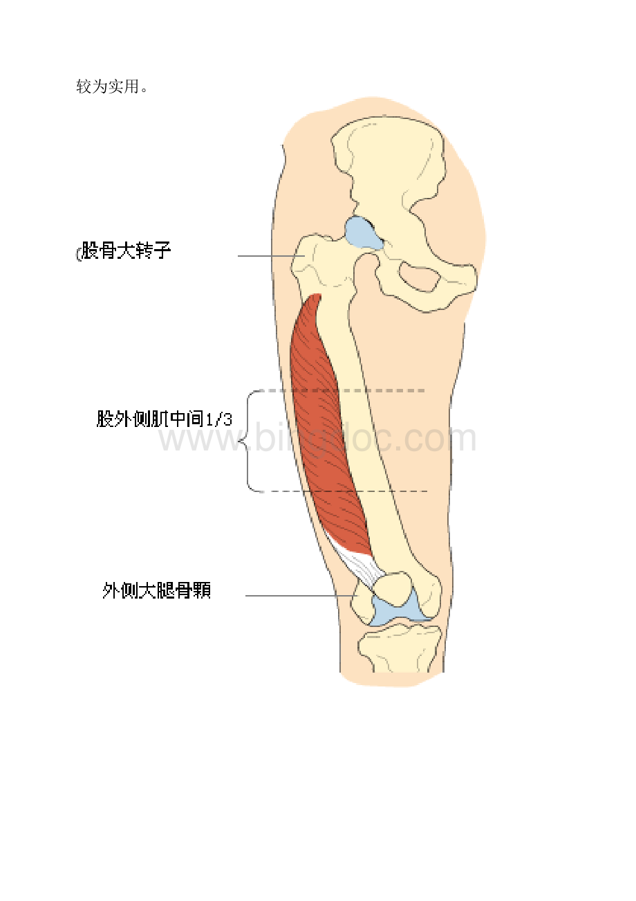 肌肉注射针位置图Word文档下载推荐.docx_第3页