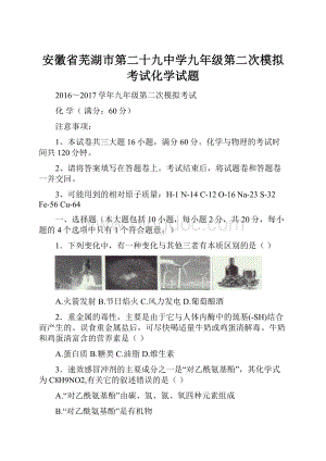 安徽省芜湖市第二十九中学九年级第二次模拟考试化学试题.docx