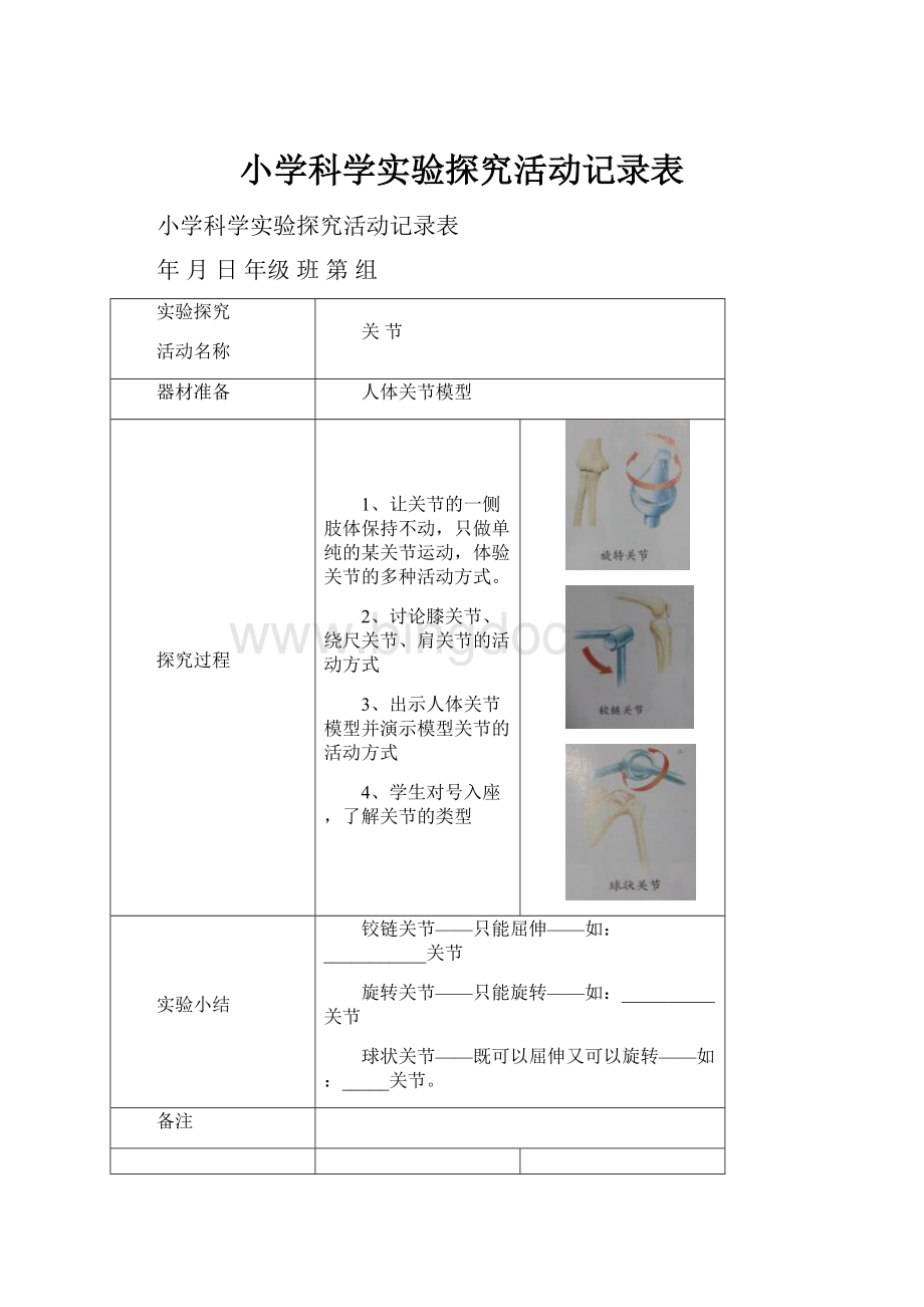 小学科学实验探究活动记录表.docx